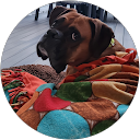 Jenn Silverthorn profile picture